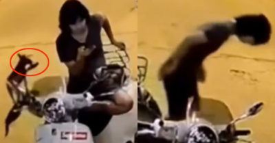Video: Ham chơi điện thoại, thanh niên bị cún tha mất dép