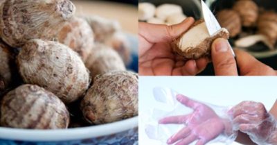 Một số mẹo giúp gọt khoai sọ không bị ngứa