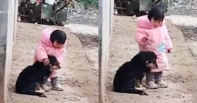 Video: Bé gái bịt tai cún khi pháo nổ để cún không bị sợ