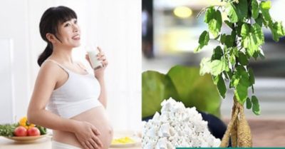 Cách nấu bột sắn dây cho mẹ bầu thơm ngon, bổ dưỡng