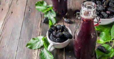 5 lợi ích của nước dâu tằm lên men đối với sức khỏe con người