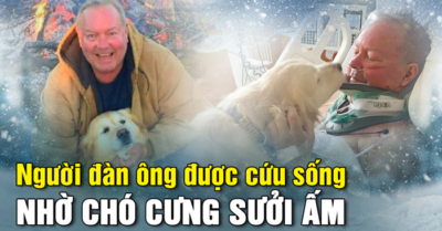 Chú chó luôn ở bên sưởi ấm khi chủ nhân gặp nạn ngoài trời đầy băng tuyết