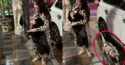 Video: Cô gái cười không ngớt khi chú chó đi ngang qua quá giống mình