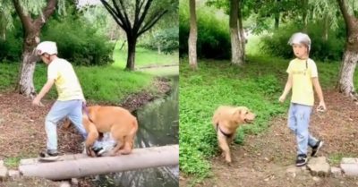 Video: Cún cưng sợ hãi ôm chặt chủ khi qua cầu khỉ