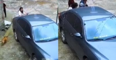 Video: Chó cưng sủa báo hiệu cho nữ tài xế khi thấy ô tô tự lùi