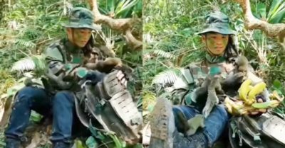 Video: Những chú sóc vây quanh chàng trai thân thiện