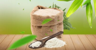 9 mẹo bảo quản gạo giữ được lâu, không bị mối mọt đơn giản, hiệu quả