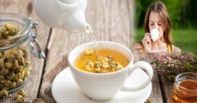 6 nhóm người không nên uống trà hoa cúc, cần lưu ý để không gây hại cho sức khỏe