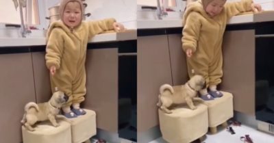 Video: Em bé và cún con bị tôm bao vây trên ghế