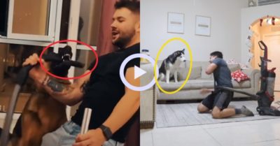 Video: Phản ứng trái ngược của hai chú chó cưng khi chủ gặp nguy hiểm