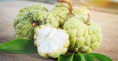 Những lợi ích của quả na đối với sức khoẻ con người