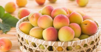 7 lợi ích của quả đào và những điều cần biết khi ăn để bảo vệ sức khỏe