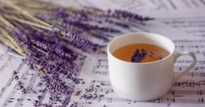 Những lợi ích cho sức khỏe khi uống trà hoa oải hương