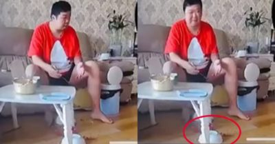 Video: Sen đứng hình vì bị mèo phá đổ mâm cơm đang ăn