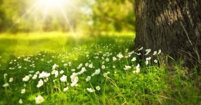 Câu chuyện tình yêu: Phía sau lời nói dối cảm động của người chồng…