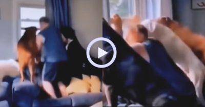 Video: Ba chú chó có tính ‘bà tám’ thích hóng hớt theo chủ nhân