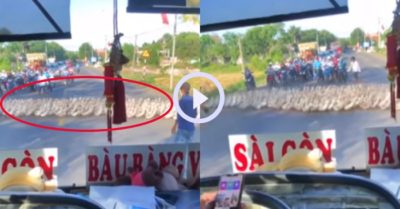 Video: Mọi phương tiện giao thông phải dừng chờ đàn vịt sang đường
