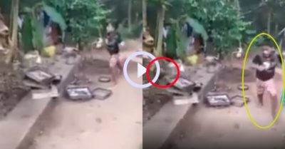 Video: Bị gà đuổi bé trai vừa chạy vừa la làng gọi mẹ giải vây