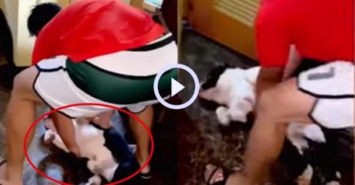 Video: Chó cưng giả vờ ngất xỉu để trốn tắm
