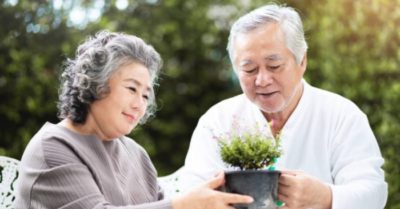 Bí quyết trẻ lâu, sống thọ của người Nhật: Thường xuyên ăn 3 loại rau vừa rẻ, vừa bổ chợ Việt có rất nhiều