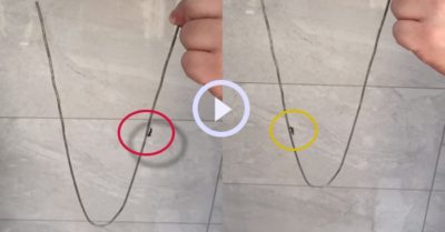 Video: Chú kiến nhỏ kiên trì đi mãi dù không thấy điểm cuối của con đường