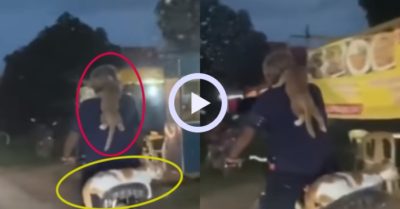 Video: Mèo cưng ngồi trên xe chủ thong dong dạo phố
