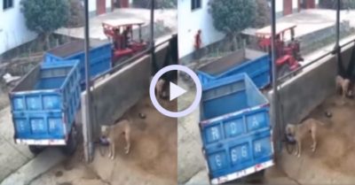 Video: Tài xế ‘lùi chuồng’ siêu đỉnh