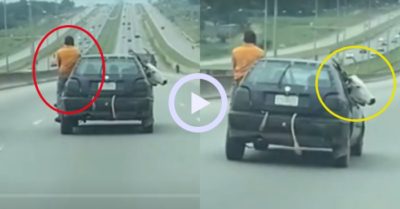 Video: Người đàn ông bị bò chiếm ghế ôtô