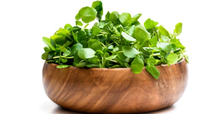 cải xoong giúp cải thiện sức khỏe của xương