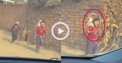 Video: Hai bé gái cõng gà đi chơi