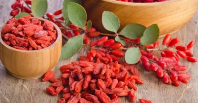 8 tác dụng của kỷ tử đối với sức khỏe con người