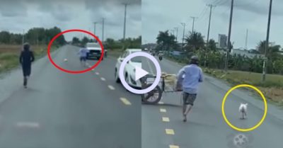 Video: Người đàn ông chạy hụt hơi trên đường bắt lợn