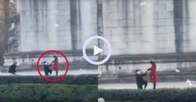 Video: Chim bồ câu tác thành màn cầu hôn của cặp đôi