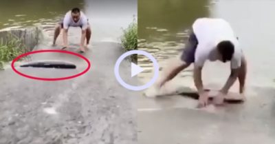 Video: Người đàn ông tiếc ngẩn ngơ vì vồ trượt cá khủng