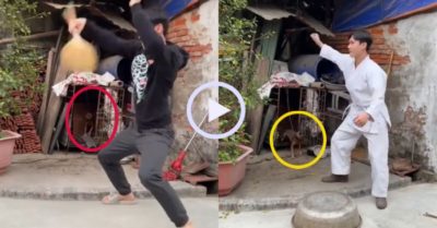 Video: Thanh niên diễn đủ trò trêu cún cưng