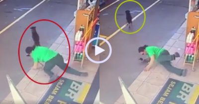 Video: Khách hàng vấp ngã vì bị chó cưng nằm cản đường