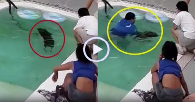 Video: Gia chủ khốn đốn vì hai cún cưng thi lặn