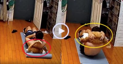 Video: Chú mèo phá bĩnh khi cậu chủ tập thể dục