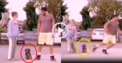 Video: Chú cún quay tít vì chủ mỗi người một ngả