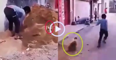 Video: Vịt chạy theo chủ khi bị phát hiện