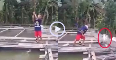 Video: Cần thủ nhí kêu gào vì bị mèo cướp mất cá