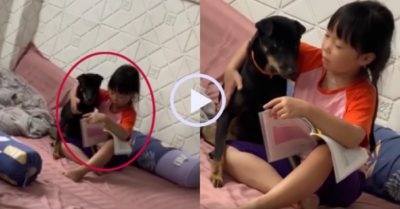 Video: Cô chủ tận tình dạy cún cưng đọc sách