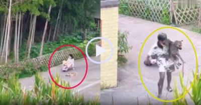 Video: Cô chủ và chó cưng rơi xuống ruộng vì đi quá tốc độ
