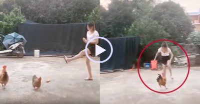 Video: Cô gái trẻ lãnh đủ vì trót dại trêu gà