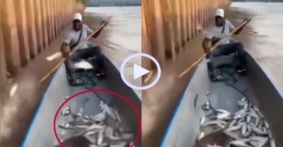 Video: Thanh niên dùng thanh tre bắt cá đầy xuồng máy