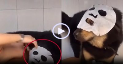Video: Cô gái tá hỏa khi biết mình vừa hôn ‘ma sói’