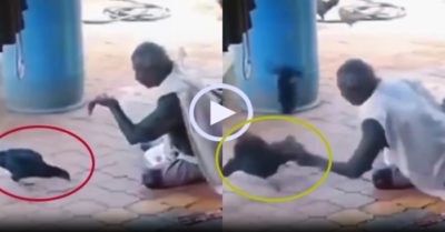 Video: Cụ ông bắt gà ‘bách phát bách trúng’