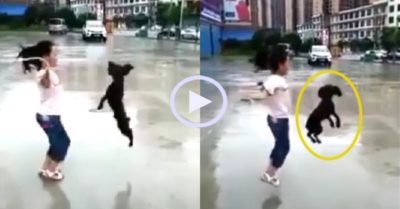 Video: Chó cưng nhảy dây điệu nghệ cùng cô chủ