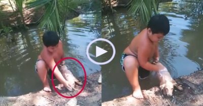 Video: Cậu bé vận dụng nội công tắm cho cún cưng