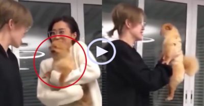 Video: Chú chó lộng hành khi được chủ ôm
